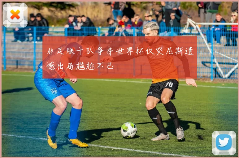 非足联十队争夺世界杯仅突尼斯遗憾出局尴尬不已