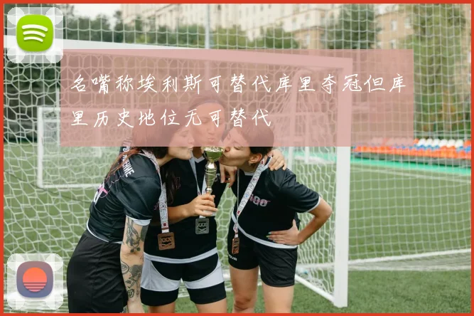名嘴称埃利斯可替代库里夺冠但库里历史地位无可替代